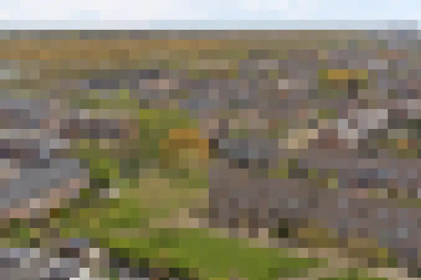 Zebraspoor 487 Maarssen thumbnail 45