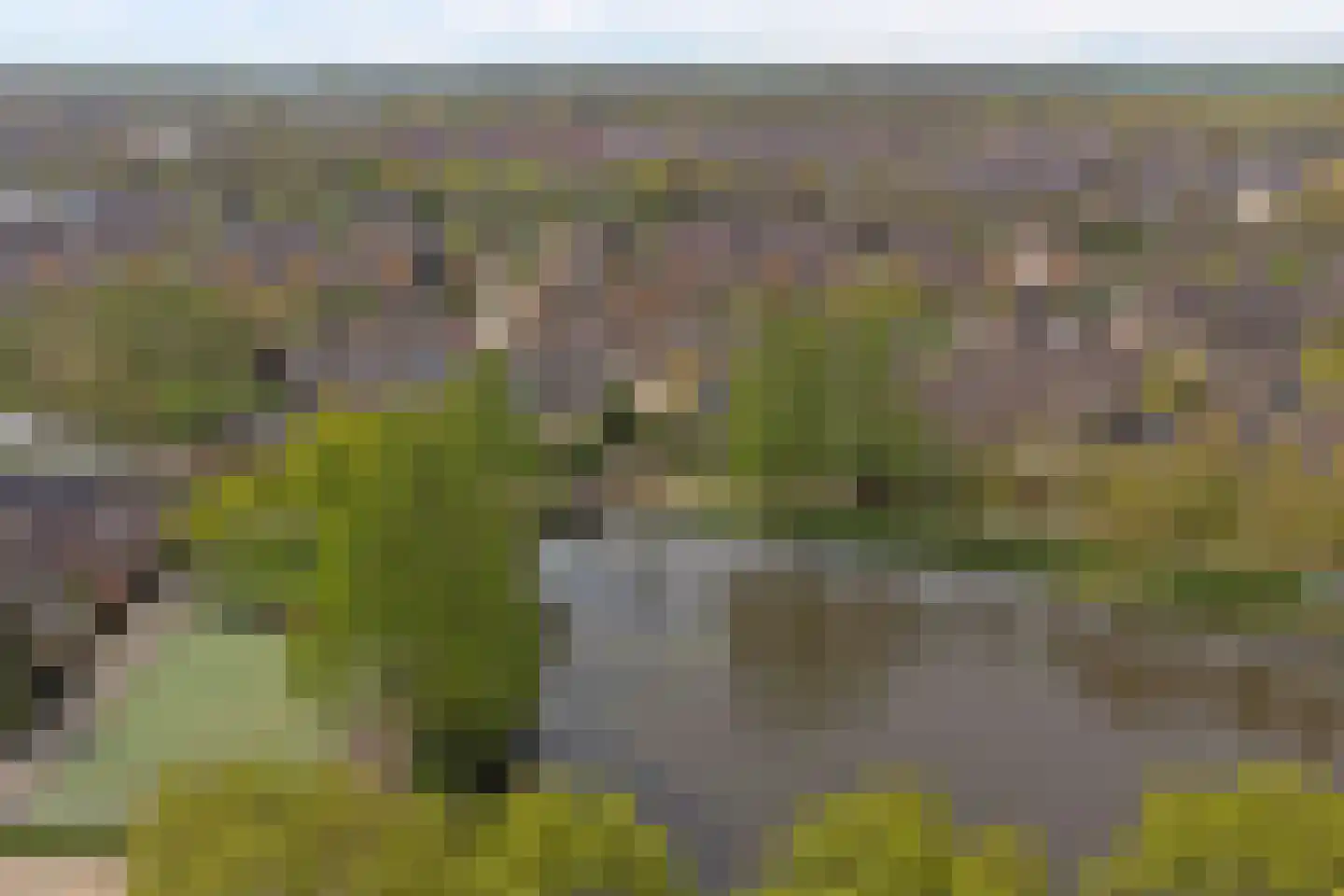 Zebraspoor 487 Maarssen thumbnail 48