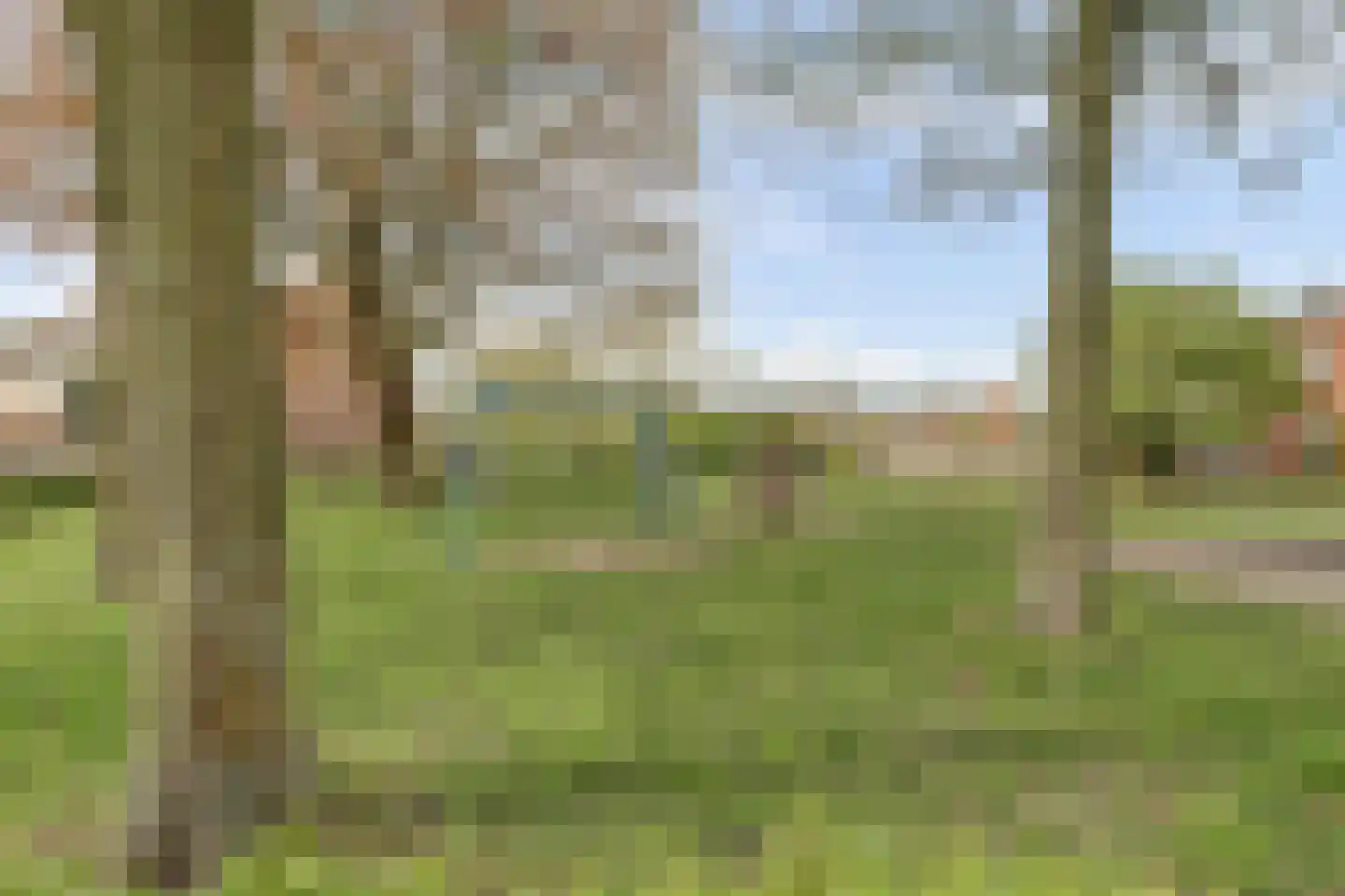 Zebraspoor 487 Maarssen thumbnail 5