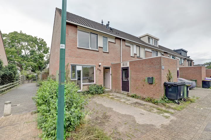 Zebraspoor 548 in Maarssen Foto