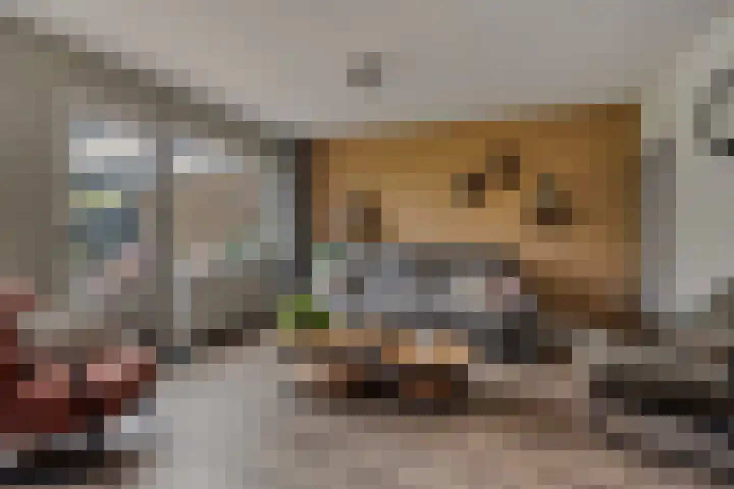 Zebraspoor 61 Maarssen thumbnail 11