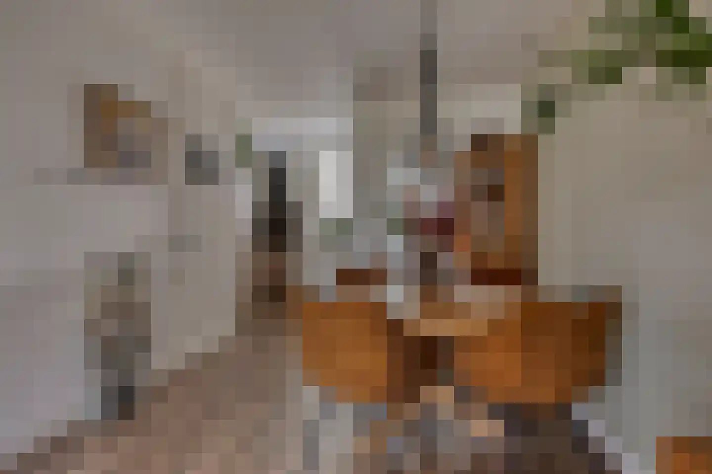 Zebraspoor 61 Maarssen thumbnail 17