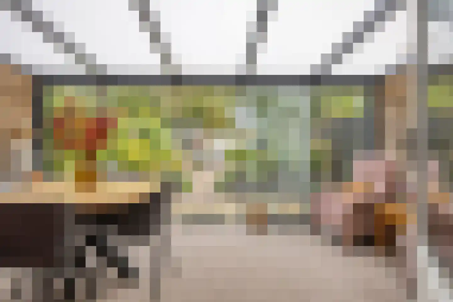 Zebraspoor 61 Maarssen thumbnail 26