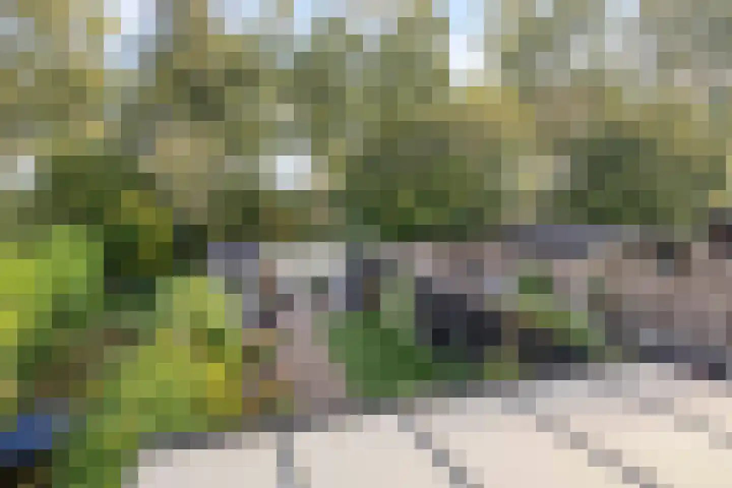 Zebraspoor 61 Maarssen thumbnail 38