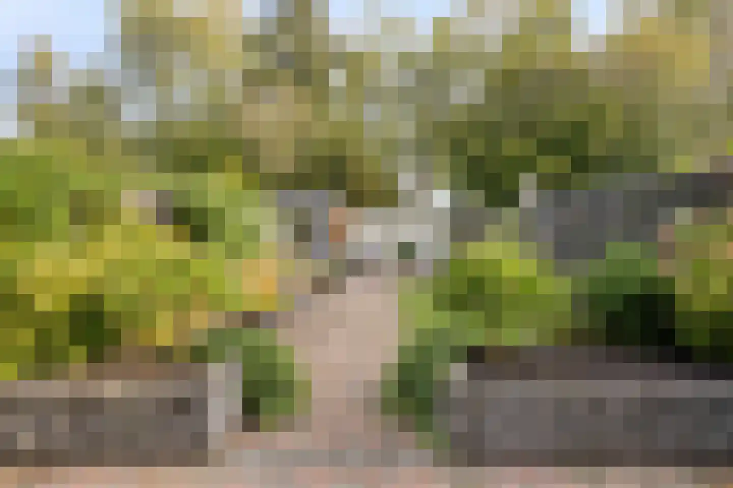 Zebraspoor 61 Maarssen thumbnail 39