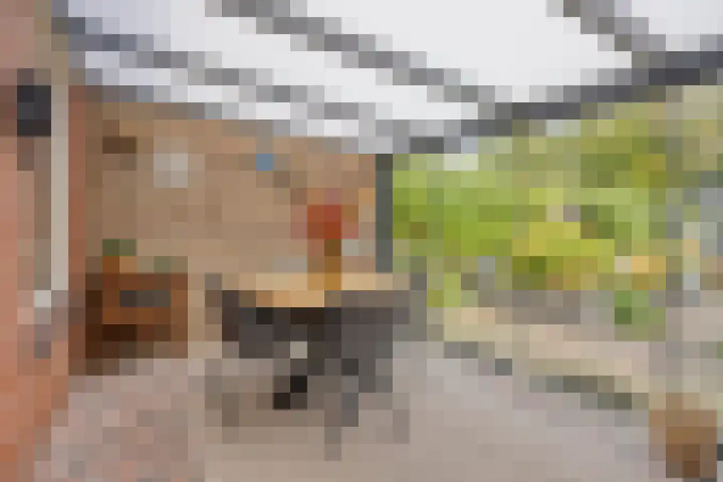 Zebraspoor 61 Maarssen thumbnail 4