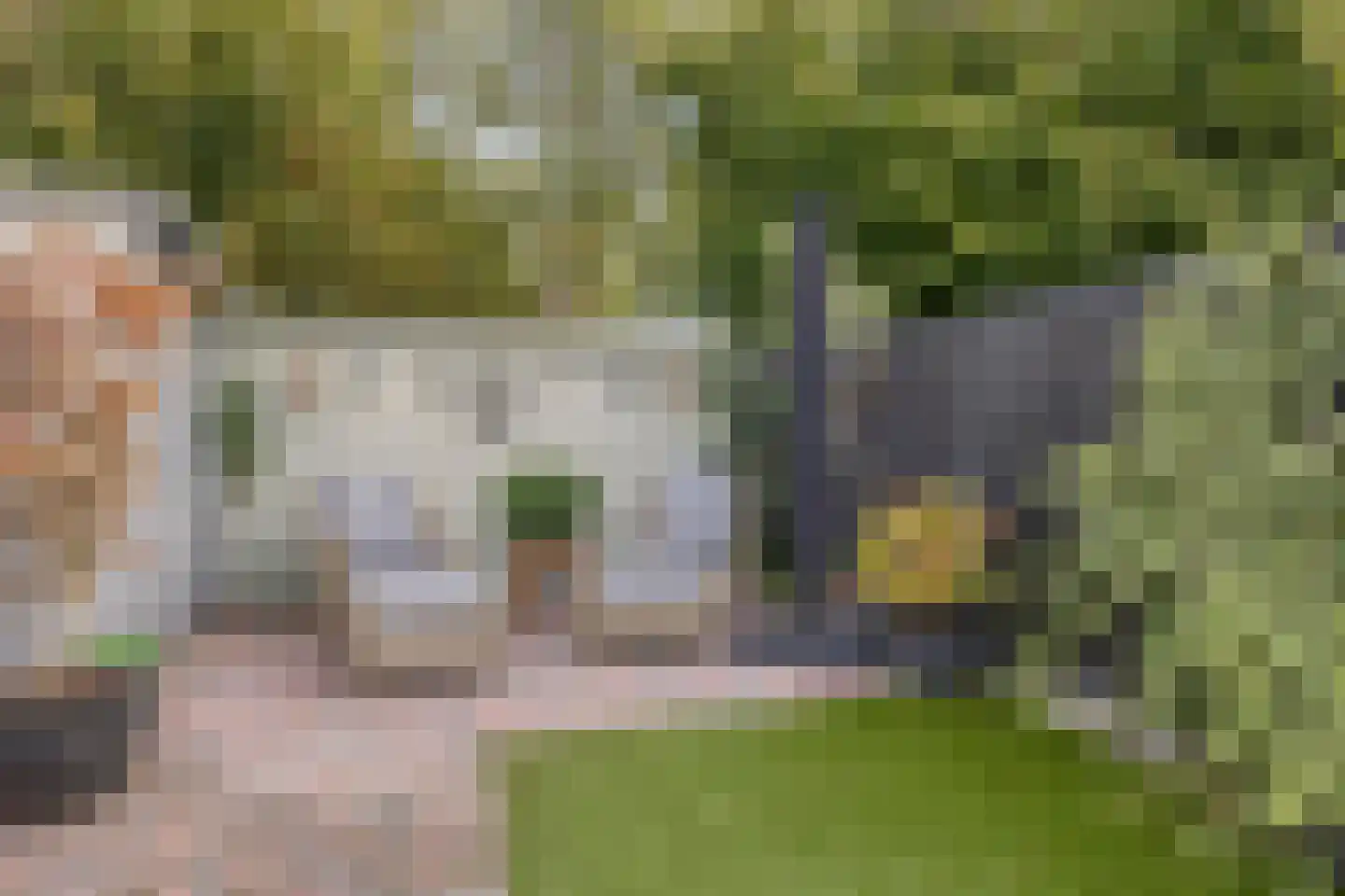 Zebraspoor 61 Maarssen thumbnail 41