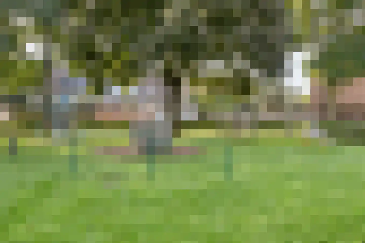 Zebraspoor 61 Maarssen thumbnail 48