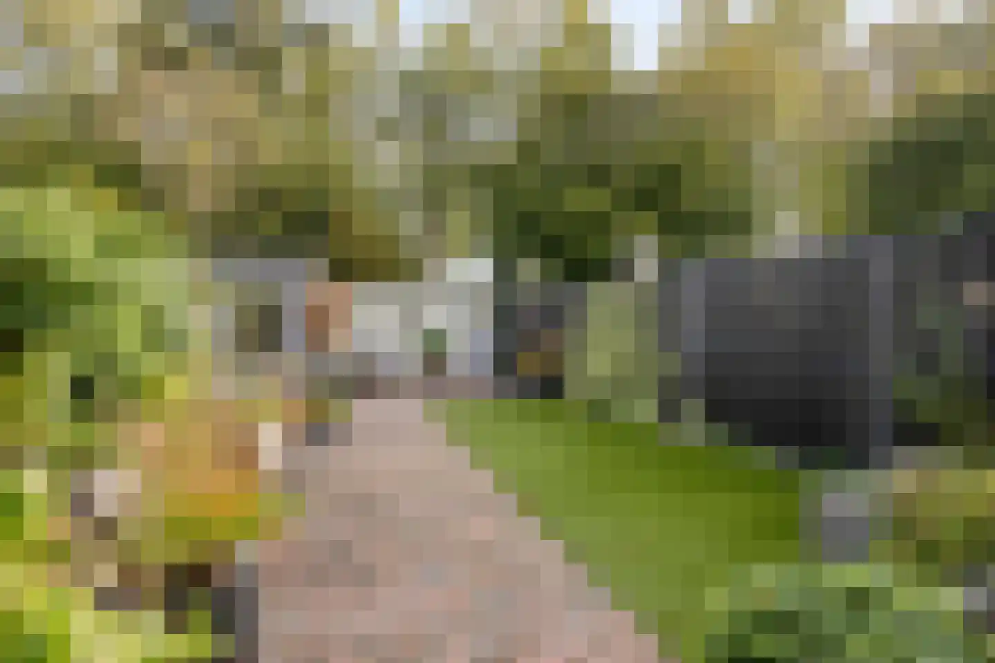 Zebraspoor 61 Maarssen thumbnail 5