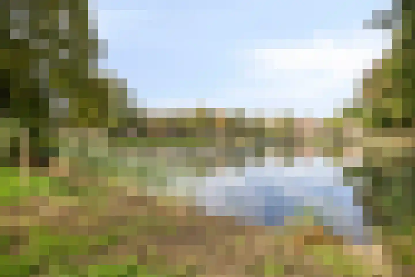 Zebraspoor 61 Maarssen thumbnail 50