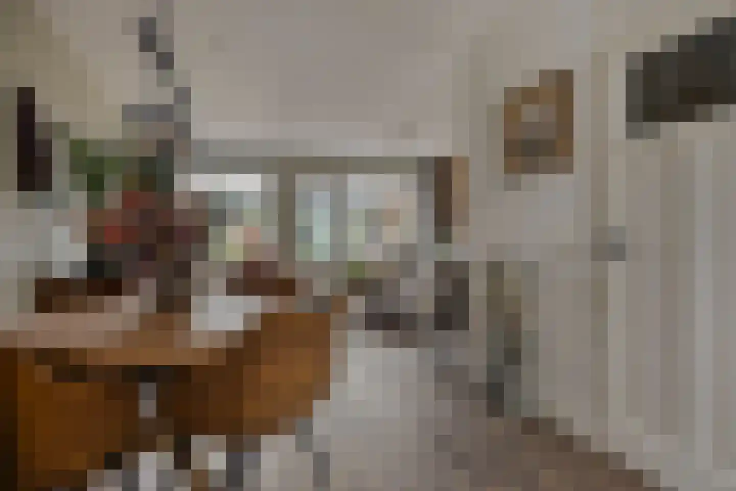 Zebraspoor 61 Maarssen thumbnail 9