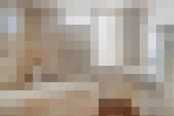 Zebraspoor 647 Maarssen thumbnail 15
