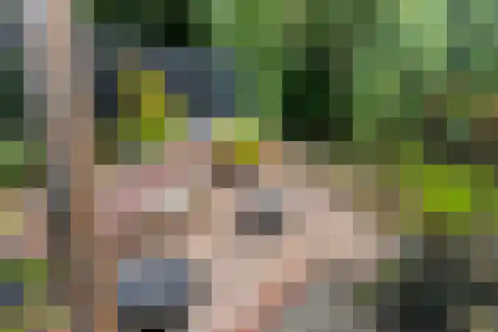 Zebraspoor 647 Maarssen thumbnail 19