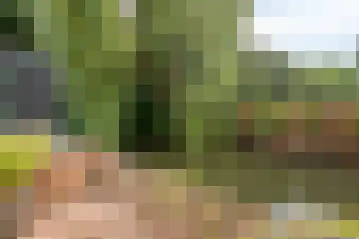 Zebraspoor 647 Maarssen thumbnail 20