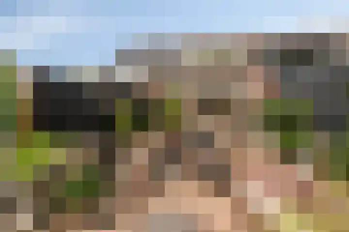 Zebraspoor 647 Maarssen thumbnail 21