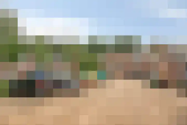 Zebraspoor 647 Maarssen thumbnail 24
