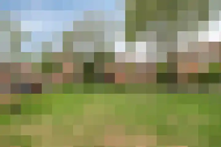 Zebraspoor 647 Maarssen thumbnail 25