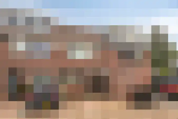 Zebraspoor 647 Maarssen thumbnail 33