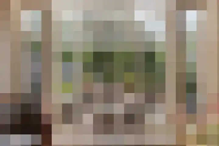 Zebraspoor 647 Maarssen thumbnail 4