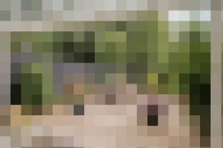 Zebraspoor 647 Maarssen thumbnail 5