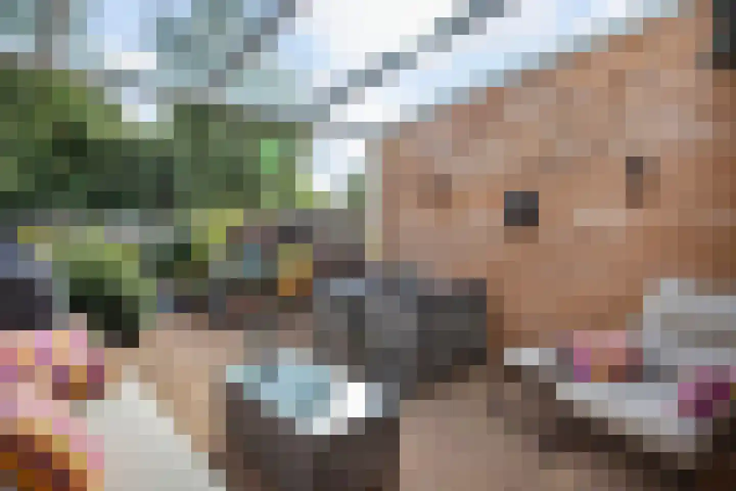 Zebraspoor 649 Maarssen thumbnail 29