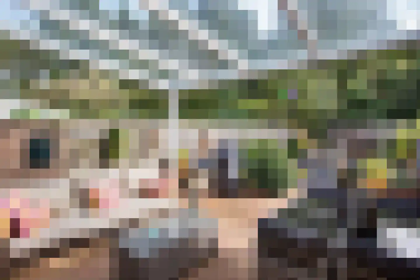 Zebraspoor 649 Maarssen thumbnail 30