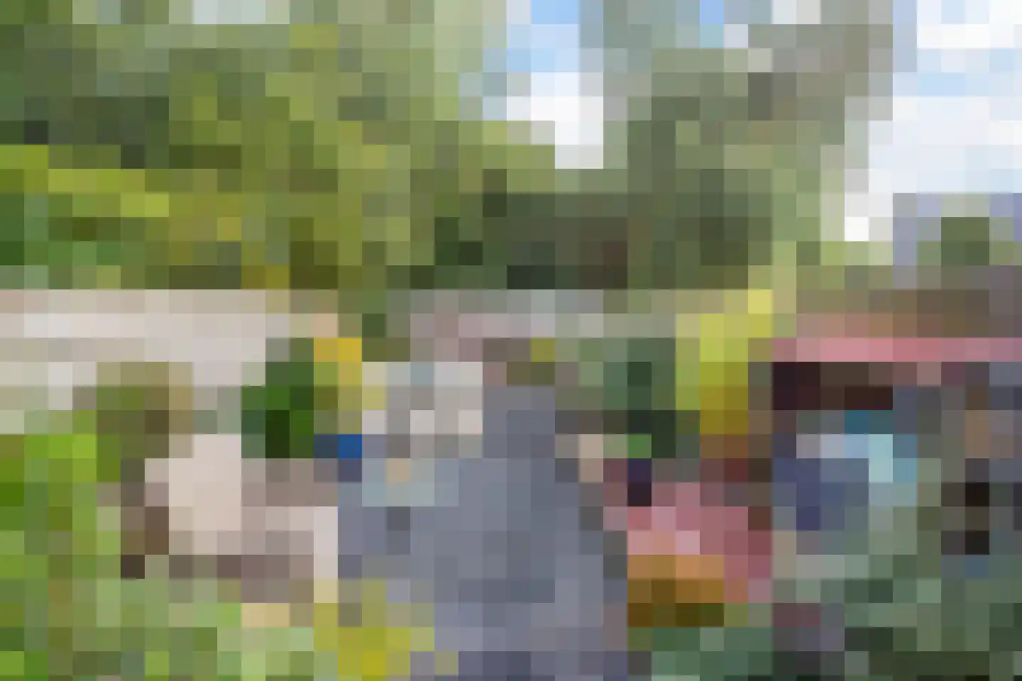 Zebraspoor 649 Maarssen thumbnail 32