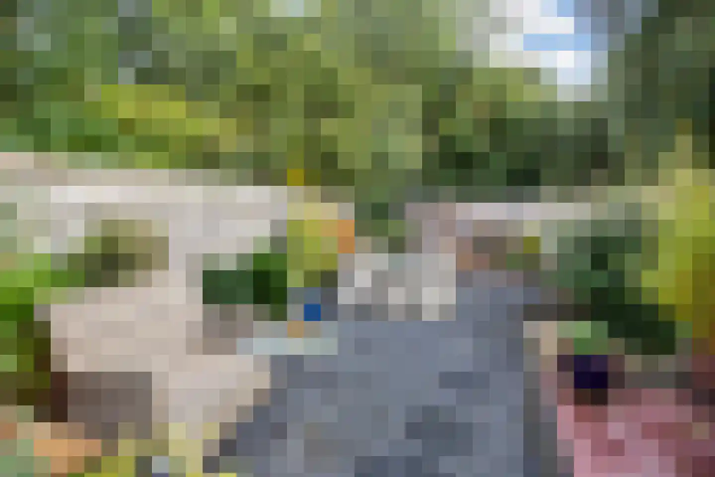 Zebraspoor 649 Maarssen thumbnail 33