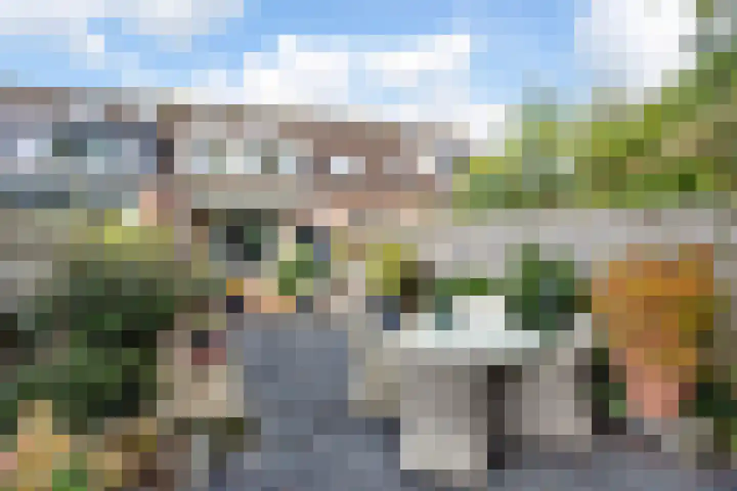 Zebraspoor 649 Maarssen thumbnail 36