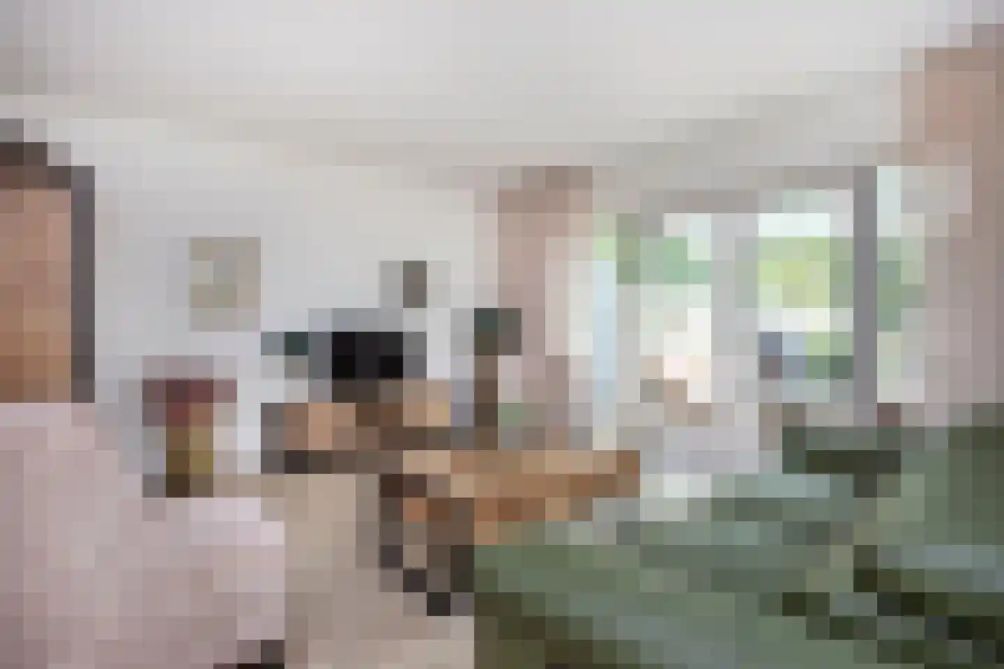 Zebraspoor 649 Maarssen thumbnail 4