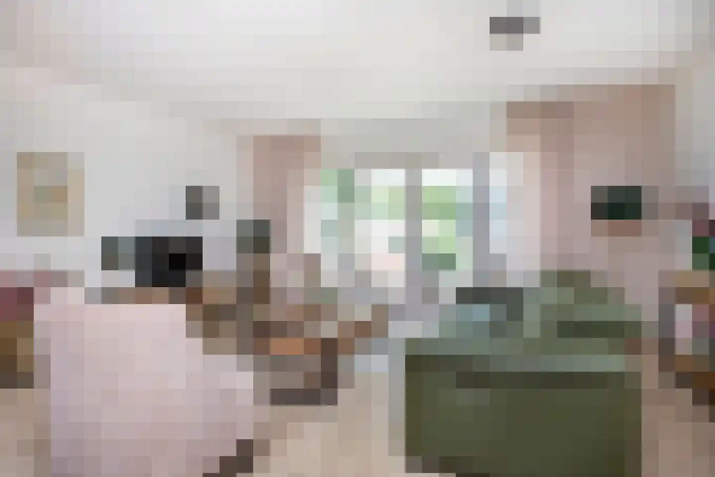 Zebraspoor 649 Maarssen thumbnail 5