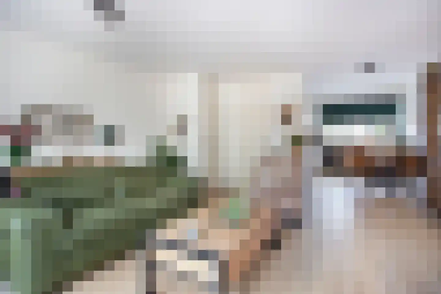 Zebraspoor 649 Maarssen thumbnail 8