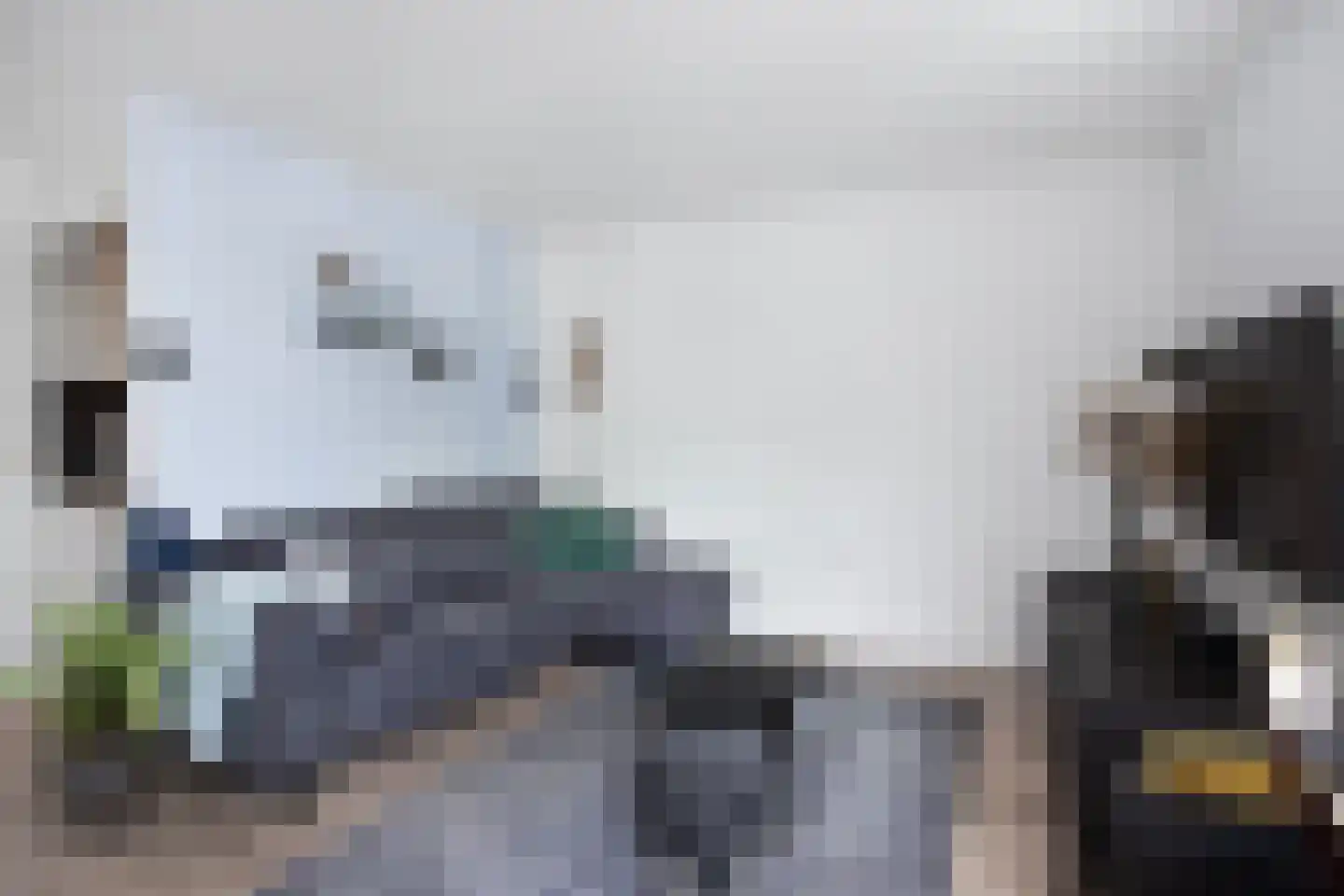 Zebraspoor 7 Maarssen thumbnail 10