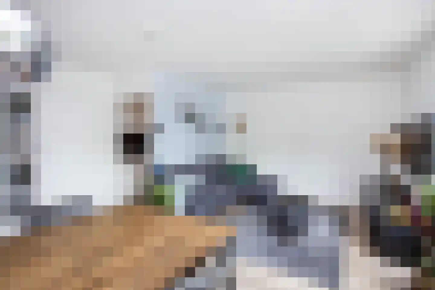 Zebraspoor 7 Maarssen thumbnail 11