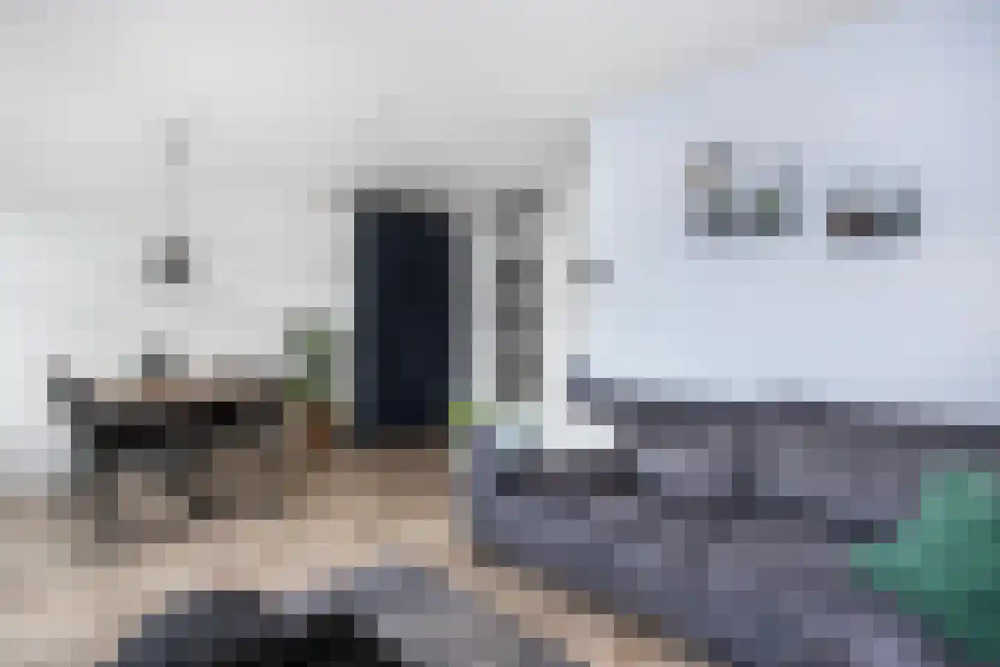 Zebraspoor 7 Maarssen thumbnail 12