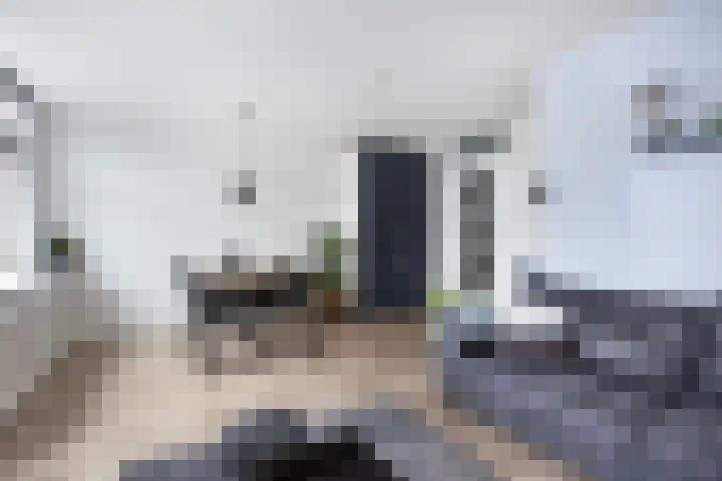 Zebraspoor 7 Maarssen thumbnail 13