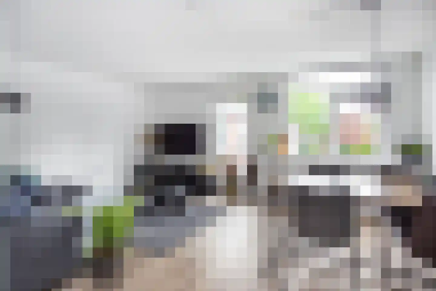 Zebraspoor 7 Maarssen thumbnail 14