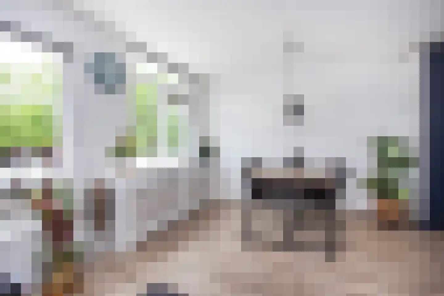 Zebraspoor 7 Maarssen thumbnail 15