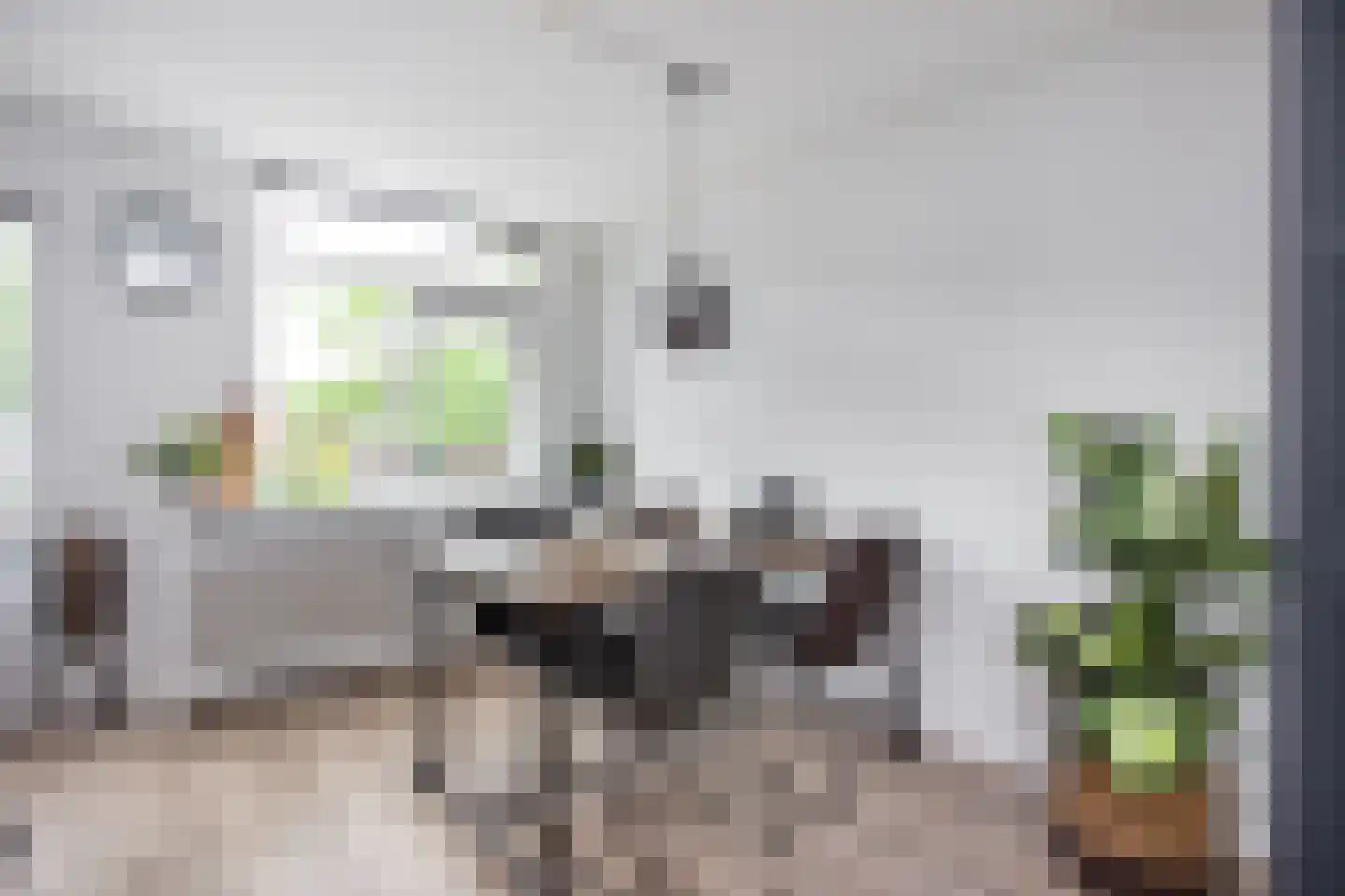 Zebraspoor 7 Maarssen thumbnail 16