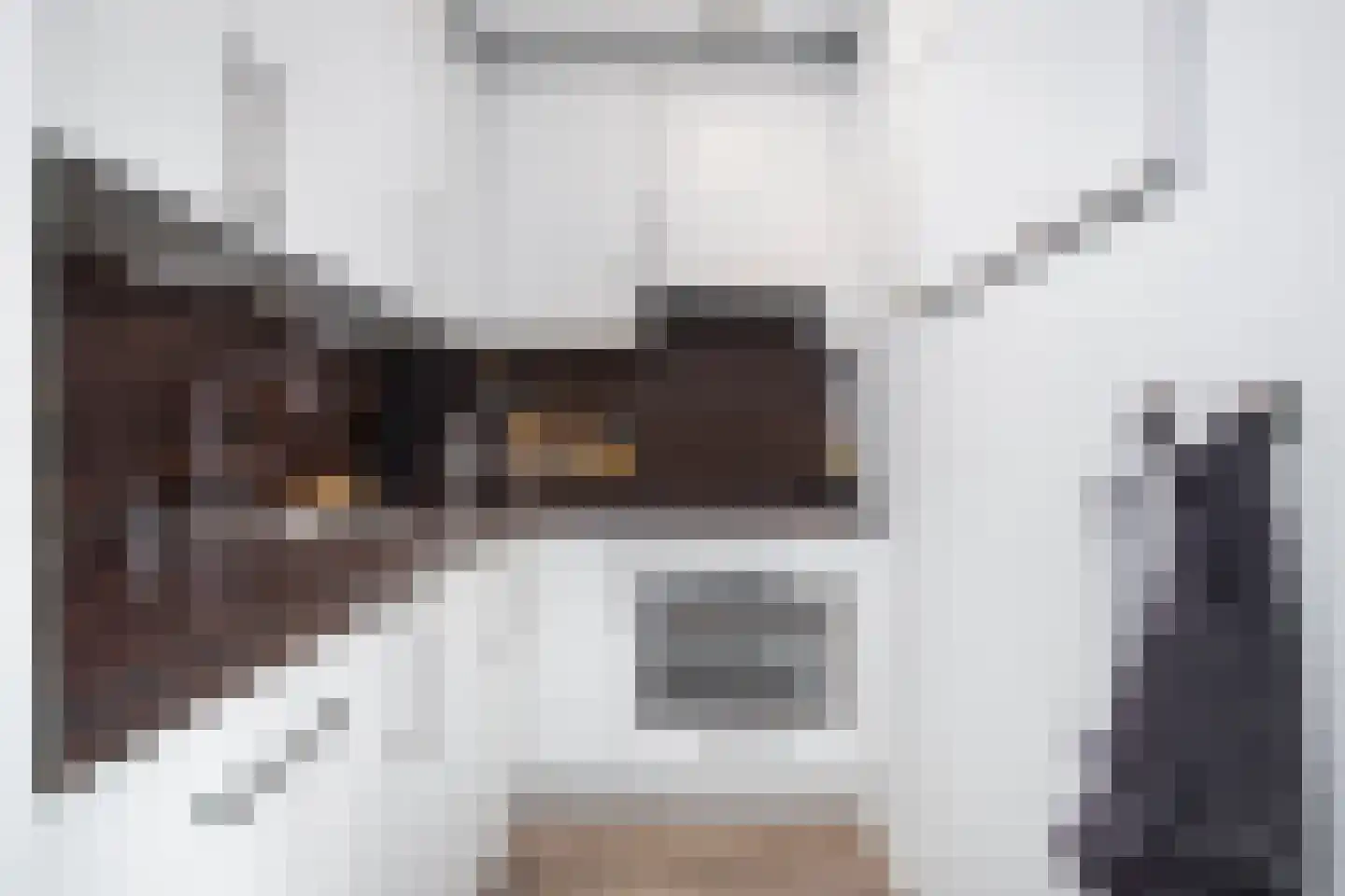 Zebraspoor 7 Maarssen thumbnail 18