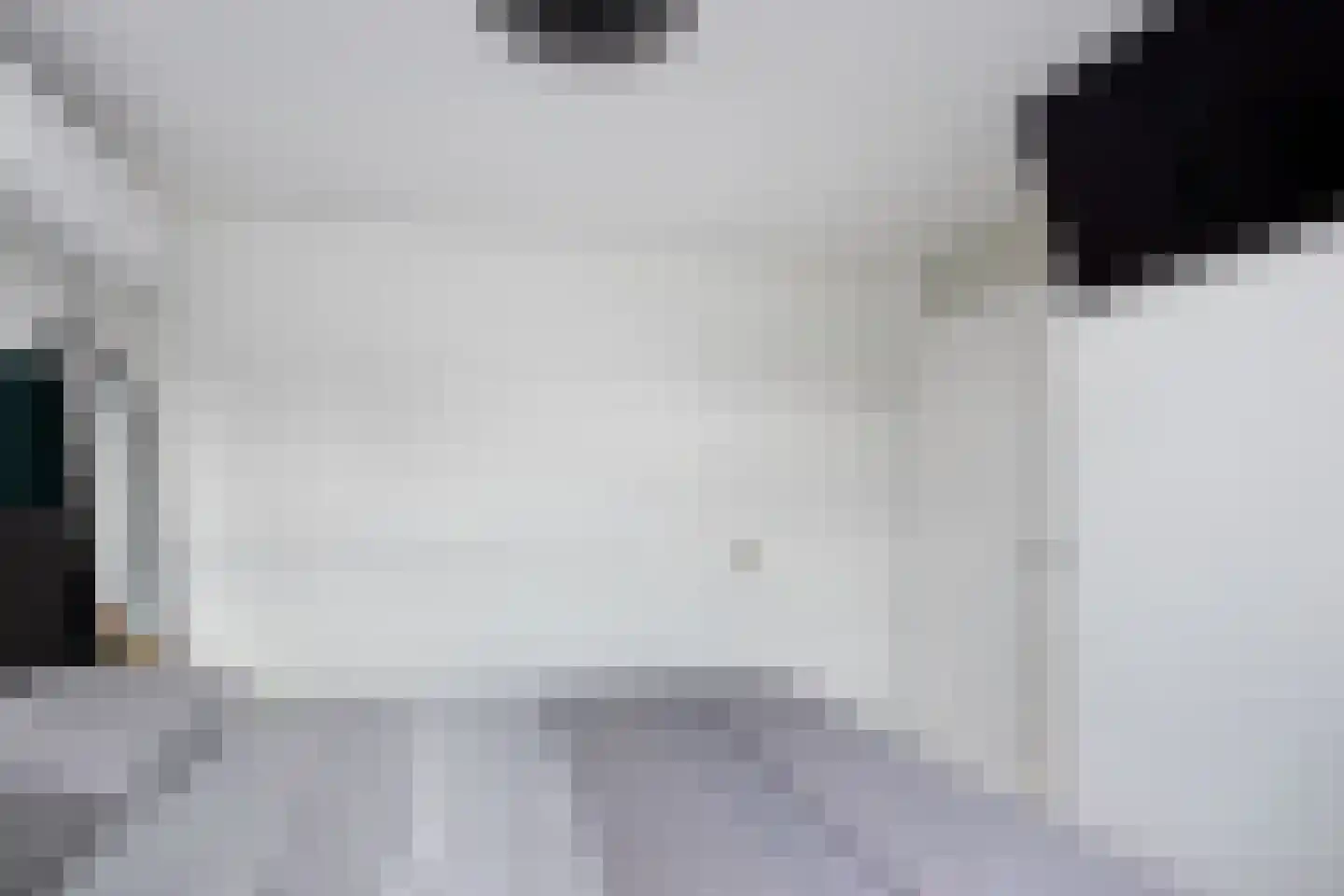 Zebraspoor 7 Maarssen thumbnail 22