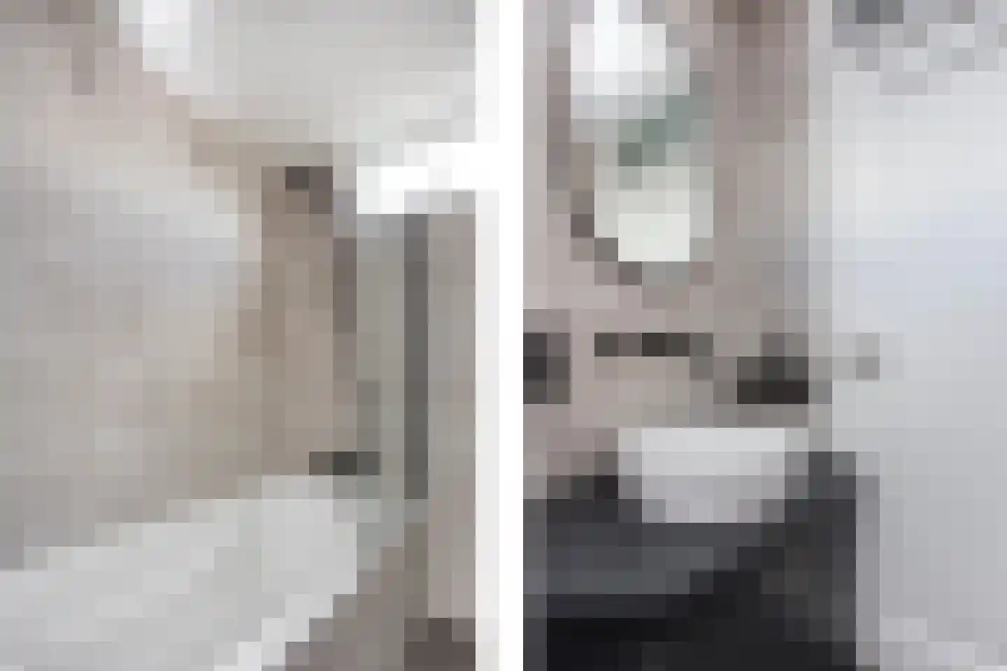Zebraspoor 7 Maarssen thumbnail 24