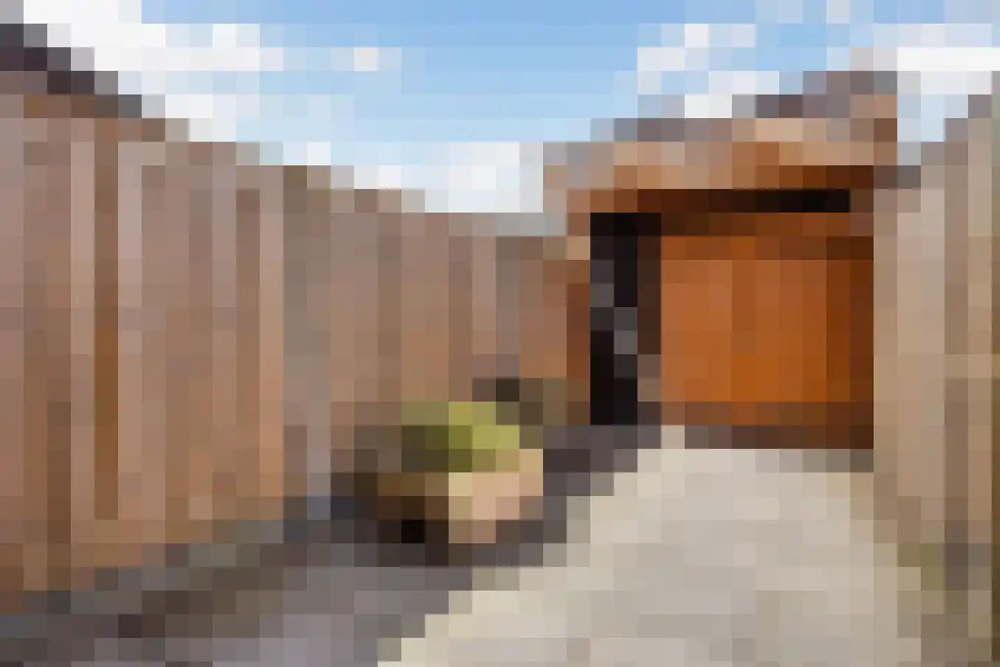 Zebraspoor 7 Maarssen thumbnail 26