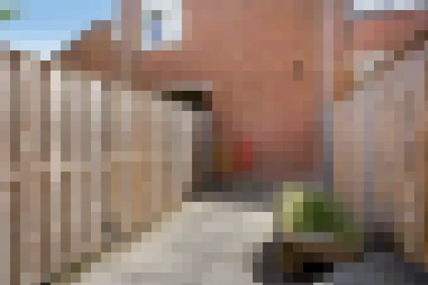 Zebraspoor 7 Maarssen thumbnail 28