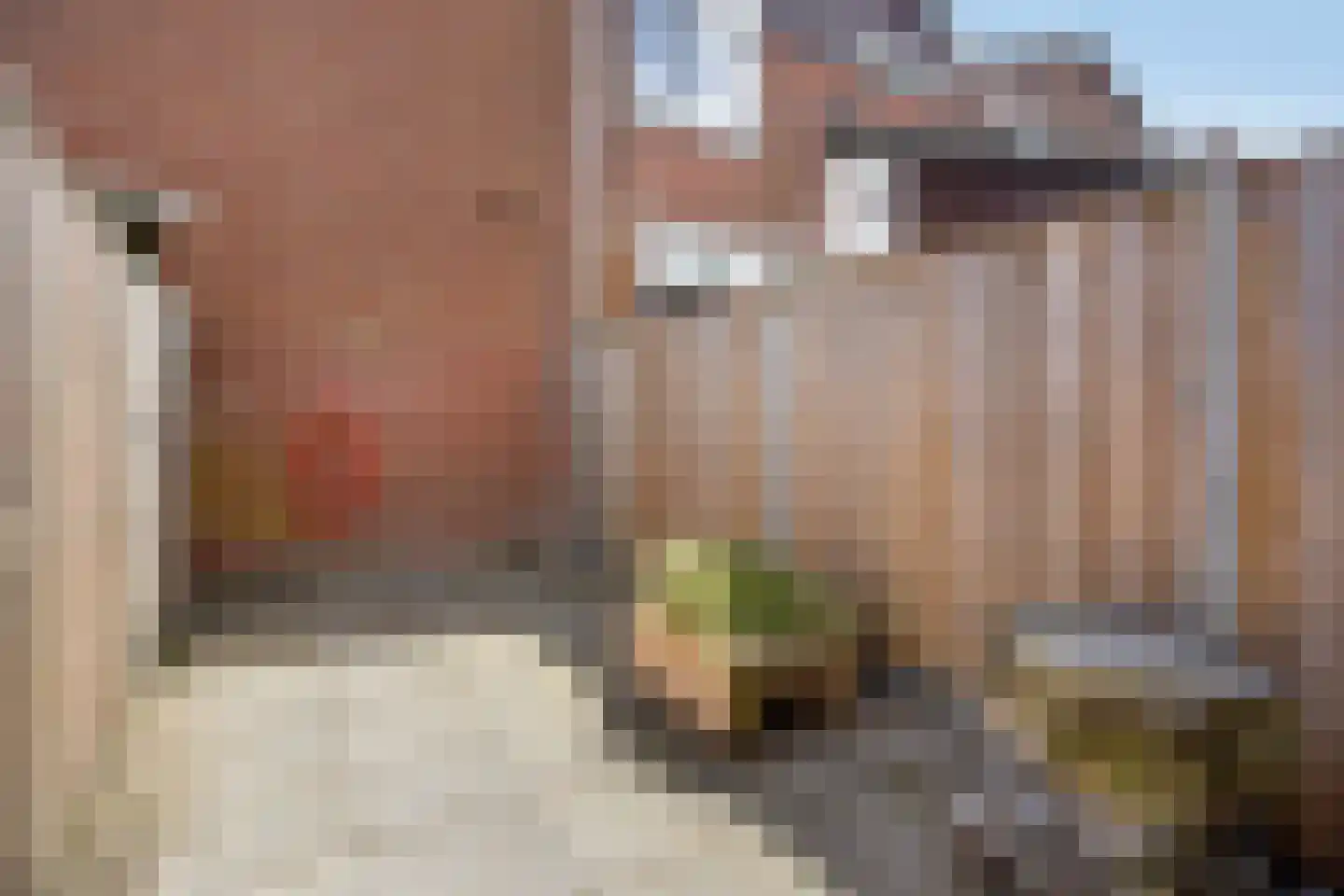 Zebraspoor 7 Maarssen thumbnail 29