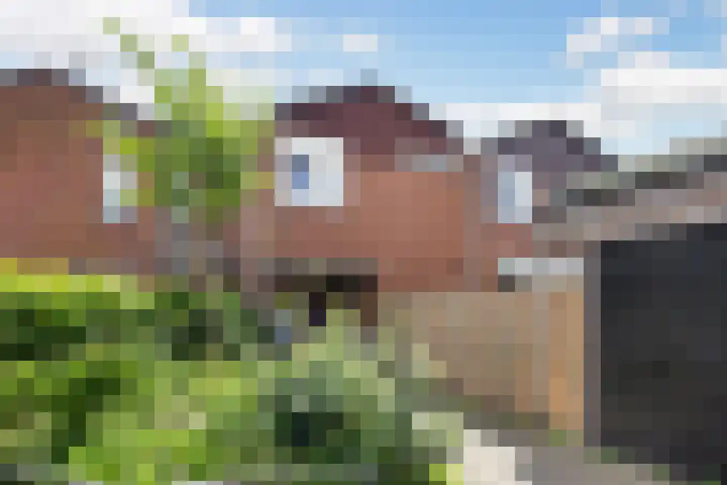 Zebraspoor 7 Maarssen thumbnail 33