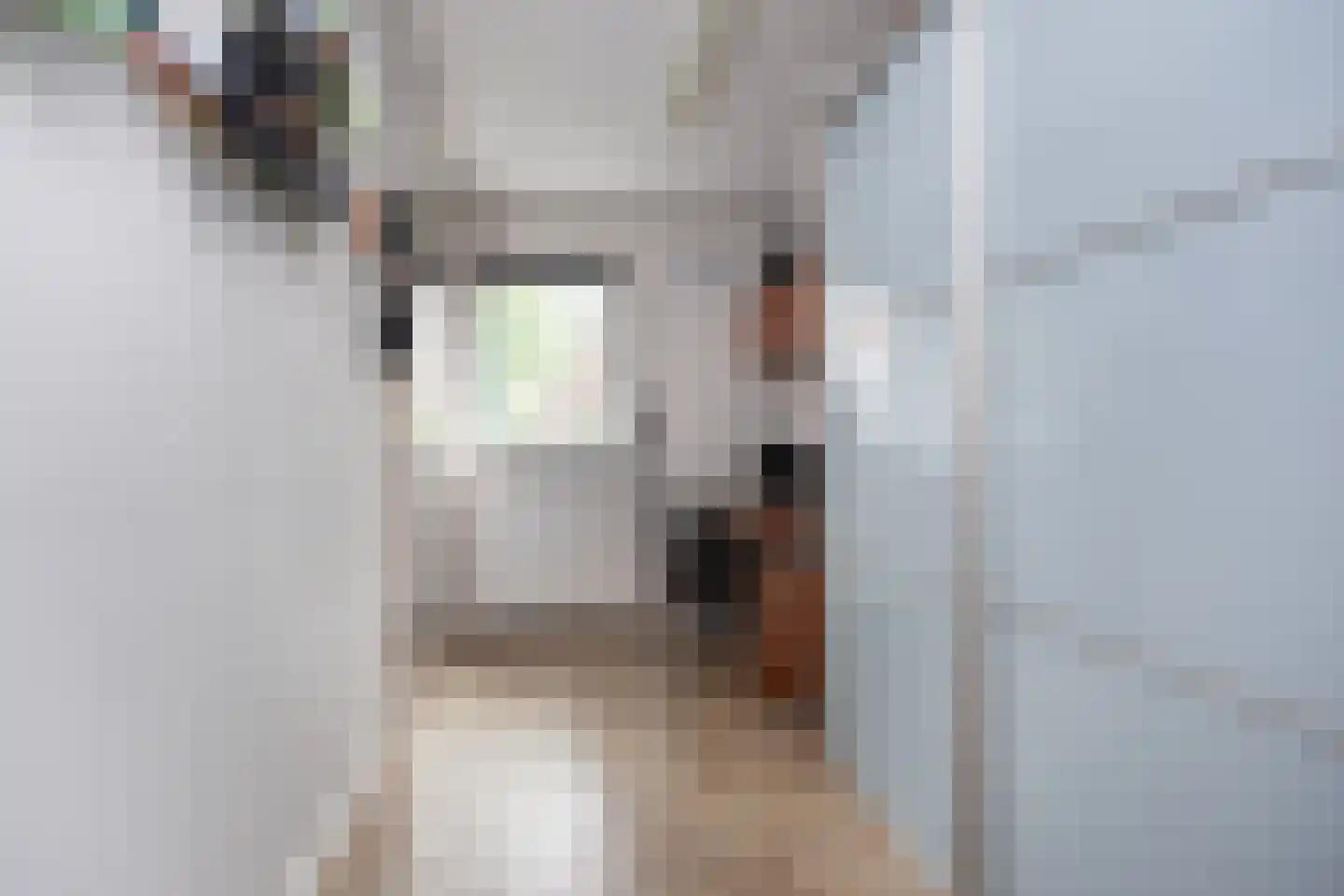 Zebraspoor 7 Maarssen thumbnail 5
