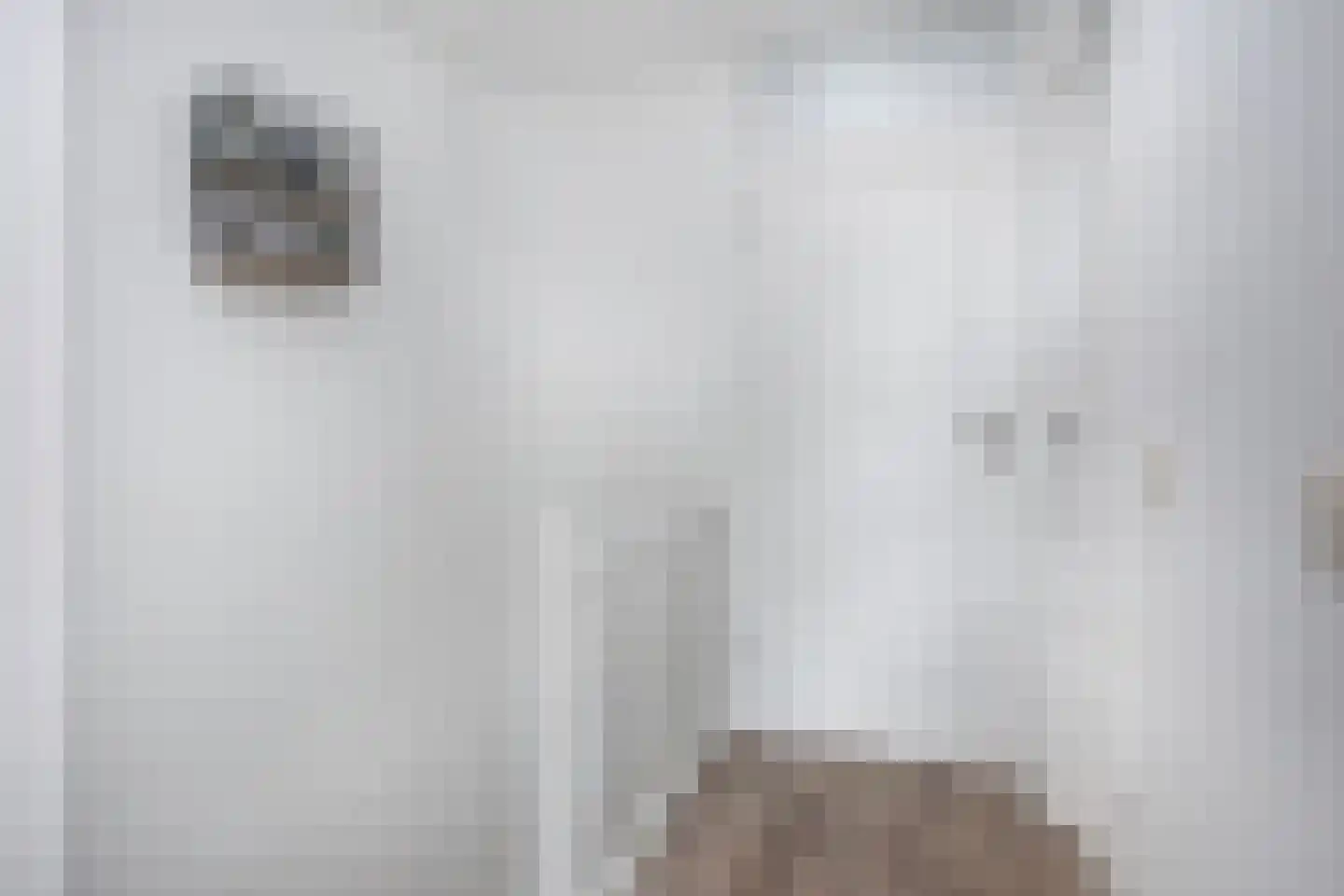 Zebraspoor 7 Maarssen thumbnail 8