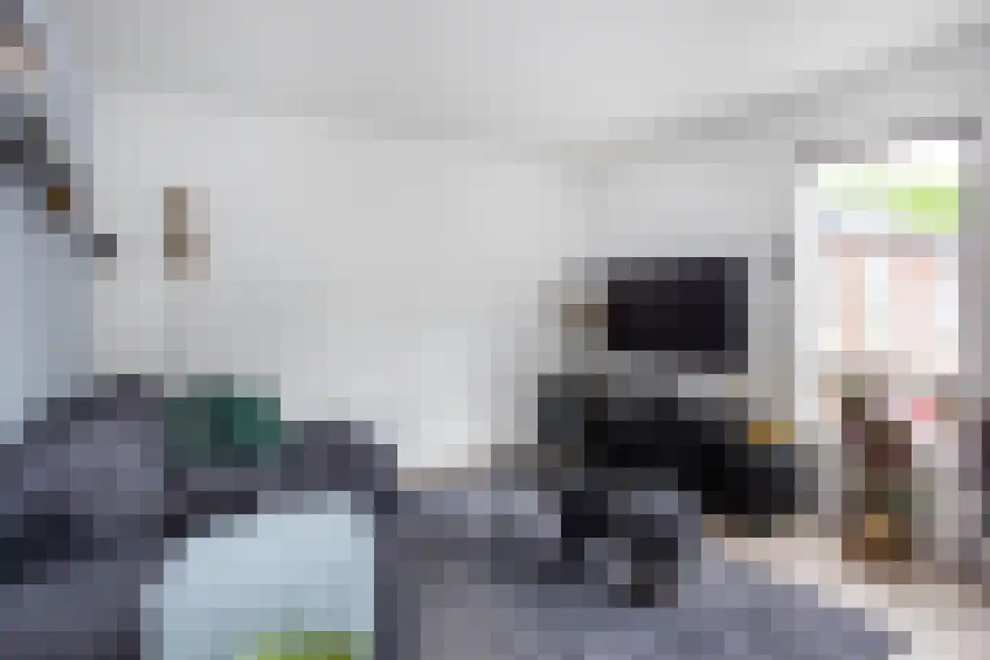 Zebraspoor 7 Maarssen thumbnail 9