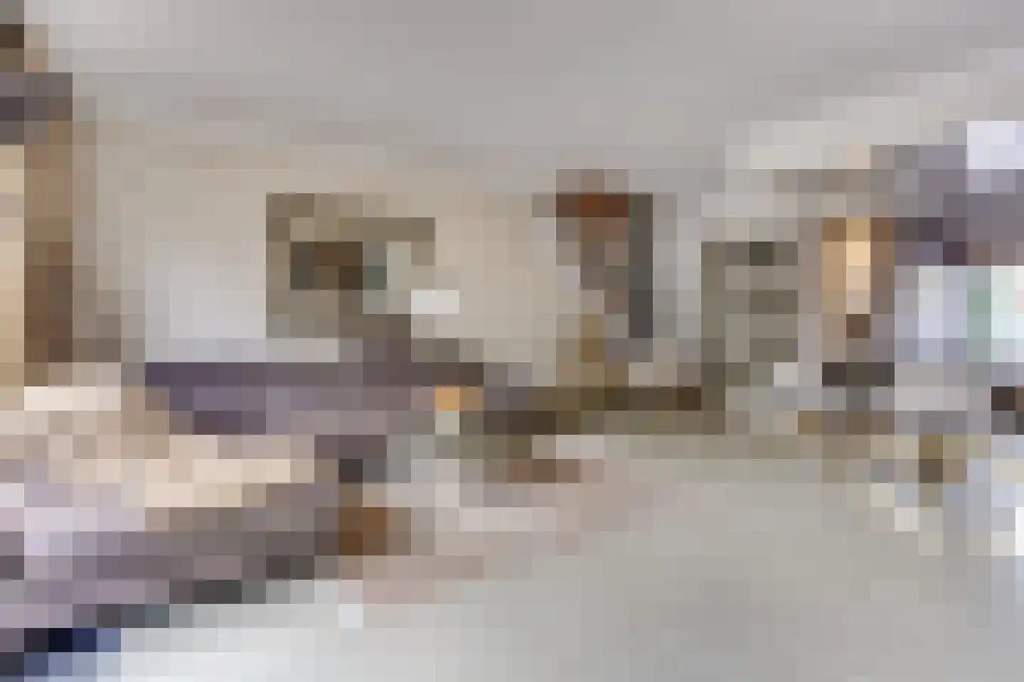 Zebraspoor 704 Maarssen thumbnail 14